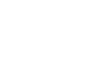 slr